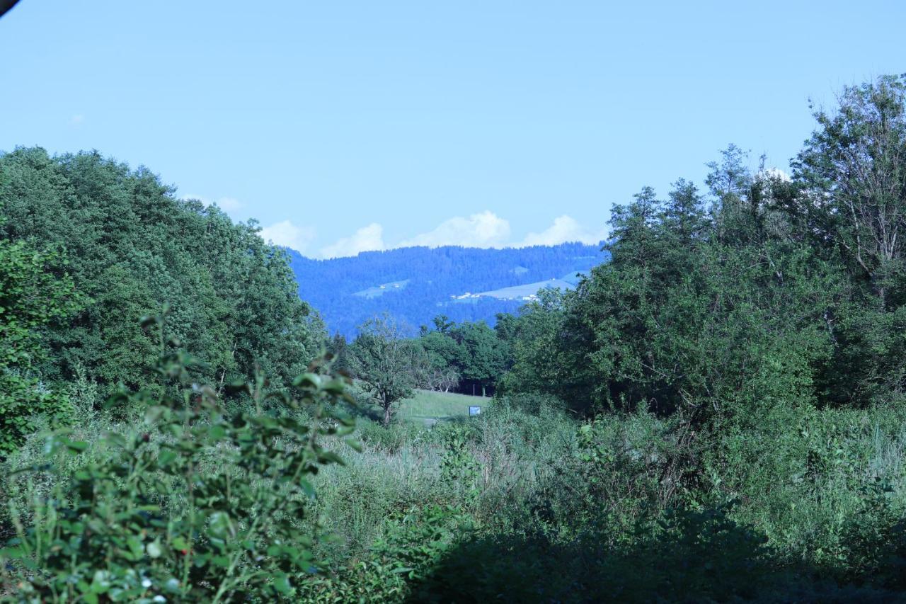 Ferienwohnung #4 Mit Terrasse In Zentraler Dennoch Ruhiger Lage - Stadtbus Vor Der Tuer! Lindau  Esterno foto
